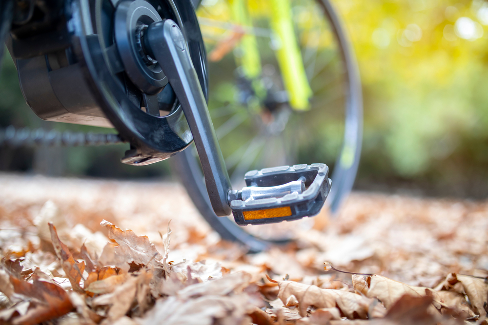 Detail,View,Of,E,Bike,On,The,Dry,Leafs